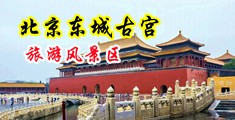 嗯啊,操我,好爽,操我鸡巴好大视频中国北京-东城古宫旅游风景区